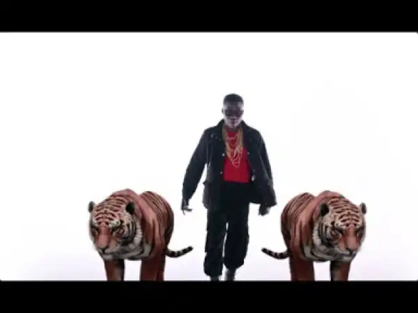 VIDEO: Reekado Banks – Put In Pressure